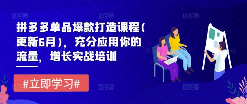 拼多多单品爆款打造课程(更新6月)，充分应用你的流量，增长实战培训-87创业网