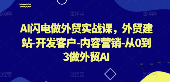 AI闪电做外贸实战课，​外贸建站-开发客户-内容营销-从0到3做外贸AI(更新)-87创业网