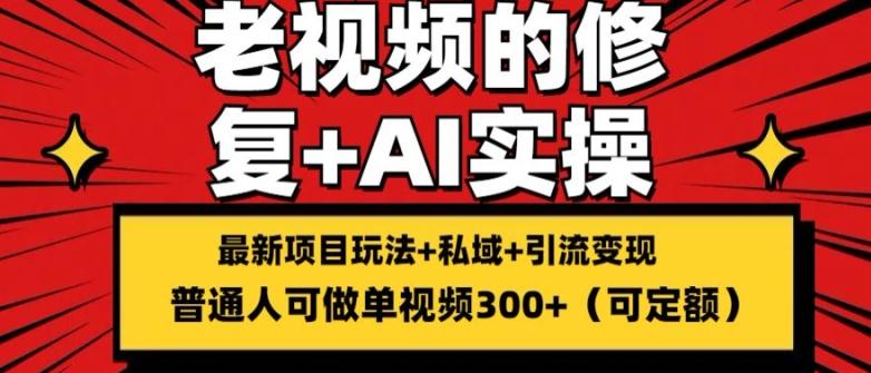 修复老视频的玩法，搬砖+引流的变现(可持久)，单条收益300+【揭秘】-87创业网