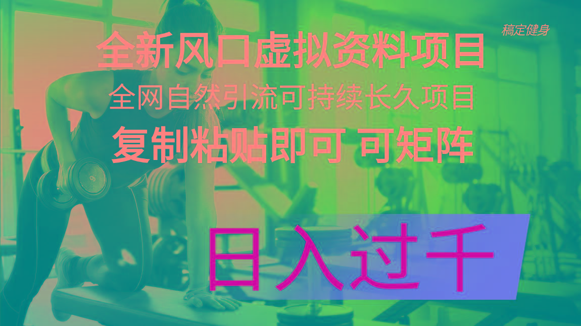 全新风口虚拟资料项目 全网自然引流可持续长久项目 复制粘贴即可可矩阵…-87创业网