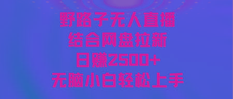 无人直播野路子结合网盘拉新，日赚2500+多平台变现，小白无脑轻松上手操作-87创业网