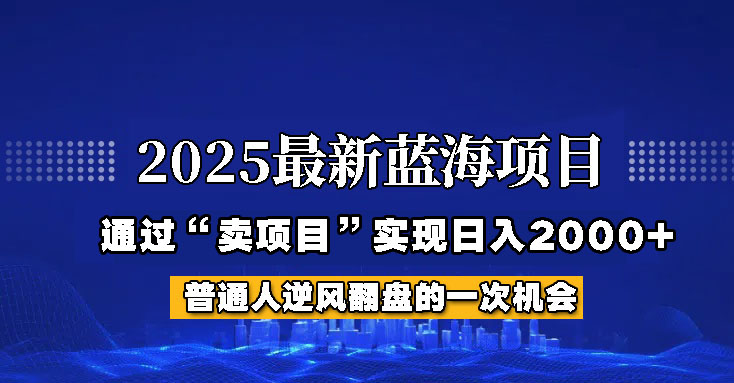 2025年蓝海项目，如何通过“网创项目”日入2000+-87创业网
