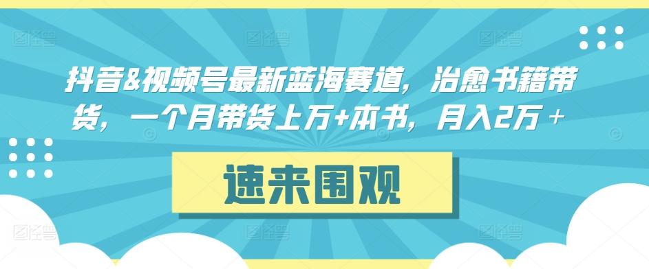 抖音&视频号最新蓝海赛道，治愈书籍带货，一个月带货上万+本书，月入2万＋【揭秘】-87创业网