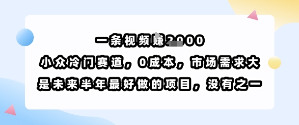 一条视频挣1k，小众冷门赛道，0成本，市场需求大，是未来半年最好做的项目，没有之一-87创业网
