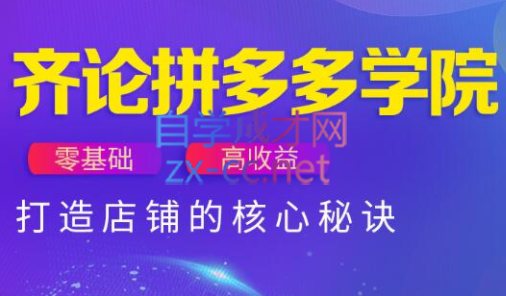 齐论拼多多vip课程-87创业网