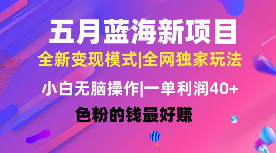 五月蓝海项目全新玩法，小白无脑操作，一天几分钟，矩阵操作，月入4万+-87创业网