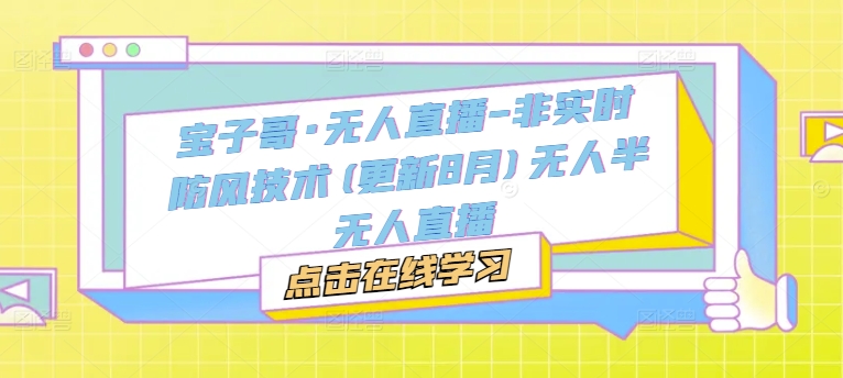 宝子哥·无人直播-非实时防风技术(更新25年5月)无人半无人直播-87创业网