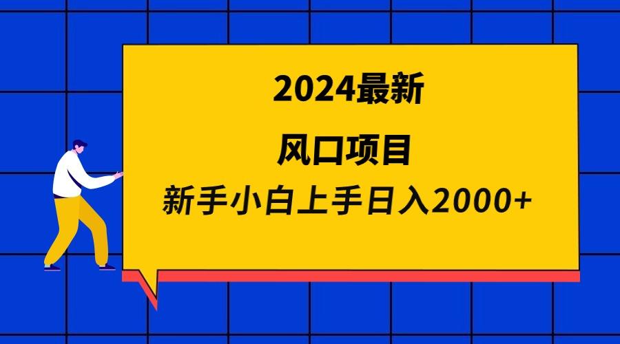 (9483期)2024最新风口项目 新手小白日入2000+-87创业网