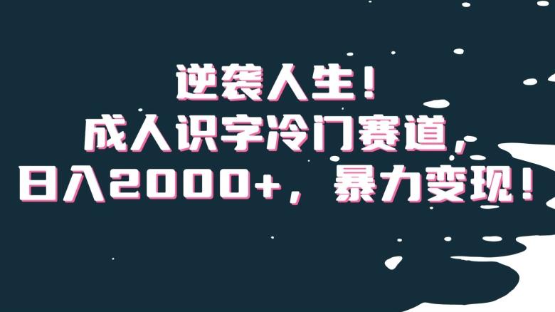 逆袭人生！成人识字冷门赛道，日入2000+，暴力变现！【揭秘】-87创业网