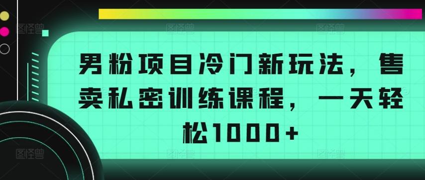 男粉项目冷门新玩法，售卖私密训练课程，一天轻松1000+【揭秘】-87创业网