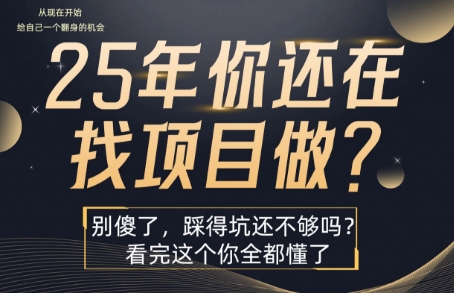 25年，你还在疯狂的找项目吗？别傻了，看完这个你都懂了【揭秘】-87创业网