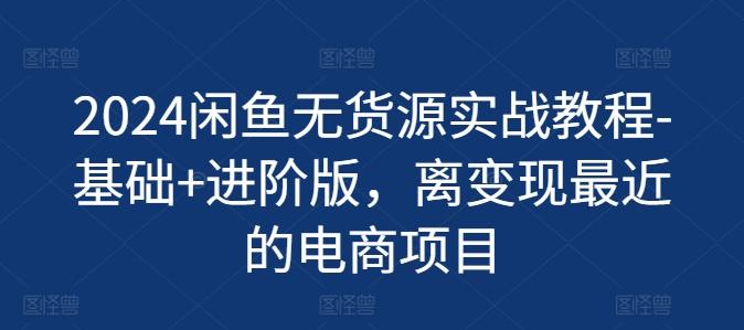 2024闲鱼无货源实战教程-基础+进阶版，离变现最近的电商项目-87创业网