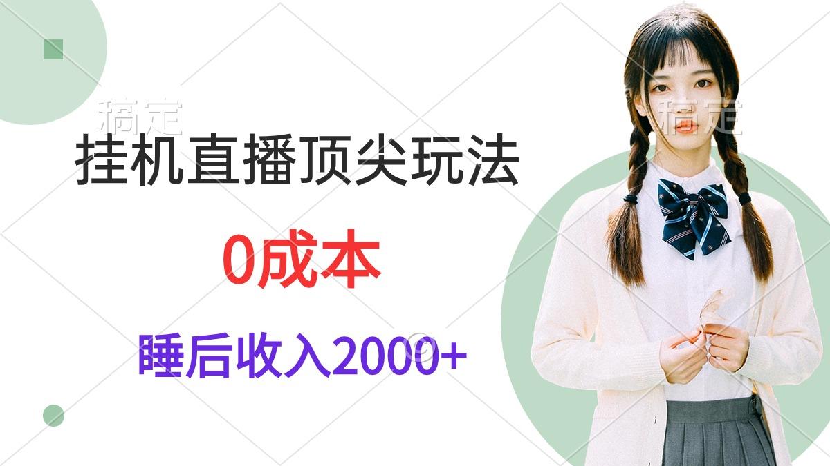 (9715期)挂机直播顶尖玩法，睡后日收入2000+、0成本，视频教学-87创业网