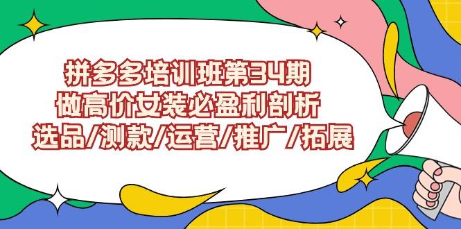 (9333期)拼多多培训班第34期：做高价女装必盈利剖析  选品/测款/运营/推广/拓展-87创业网