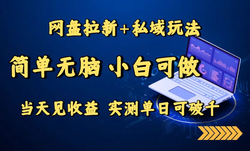 网盘拉新+私域玩法，简单无脑，小白可做，当天见收益，实测单日可破千-87创业网