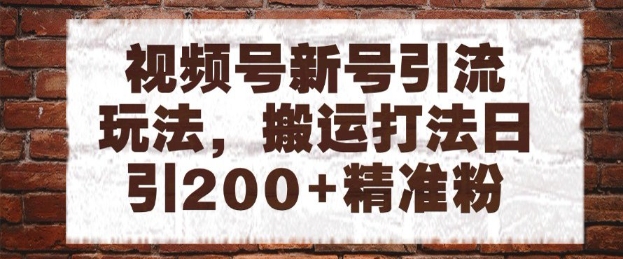 视频号新号引流玩法，搬运打法日引200+精准粉，可矩阵放大【揭秘】-87创业网