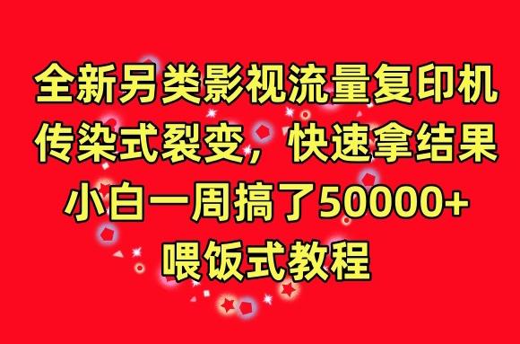 全新另类影视流量复印机，传染式裂变，快速拿结果，小白一周搞了50000+，喂饭式教程【揭秘】-87创业网