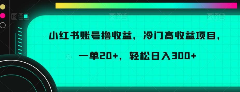 小红书账号撸收益，冷门高收益项目，一单20+，轻松日入300+【揭秘】-87创业网