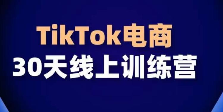 TikTok电商带货30天线上课，不可错过的全球流量洼地！-87创业网