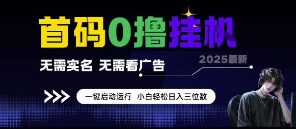 首码0撸挂G项目，无需实名无需看广告 一键启动运行，小白轻松日入三位数【揭秘】-87创业网