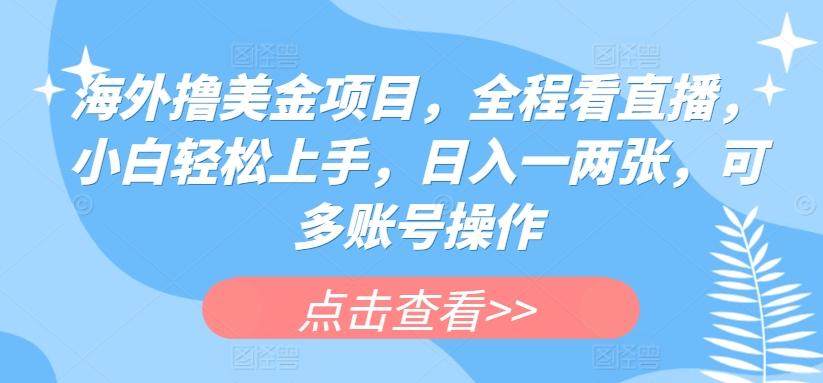 海外撸美金项目，全程看直播，小白轻松上手，日入一两张，可多账号操作【揭秘】-87创业网