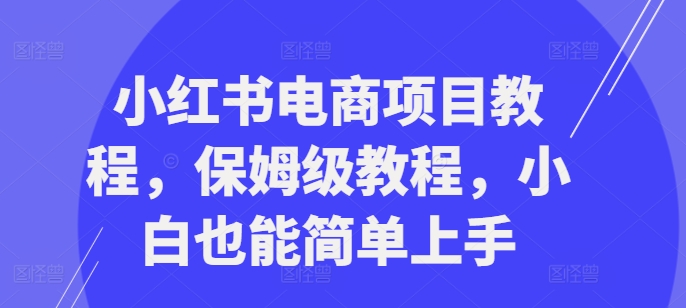 小红书电商项目教程，保姆级教程，小白也能简单上手-87创业网