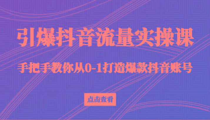 引爆抖音流量实操课，手把手教你从0-1打造爆款抖音账号(27节课)-87创业网