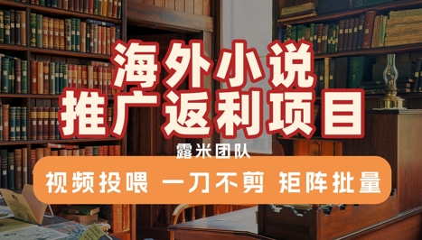 海外小说推广返利项目，视频投喂， 一刀不剪，矩阵批量-87创业网