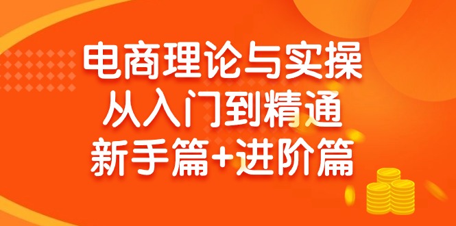 (9576期)电商理论与实操从入门到精通 新手篇+进阶篇-87创业网