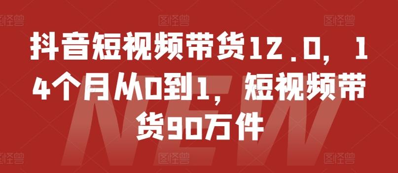 抖音短视频带货12.0，14个月从0到1，短视频带货90万件-87创业网