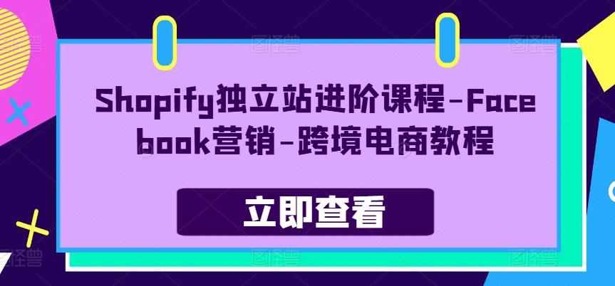 Shopify独立站进阶课程-Facebook营销-跨境电商教程-87创业网