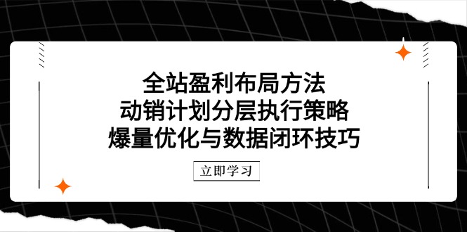 全站盈利布局方法：动销计划分层执行策略，爆量优化与数据闭环技巧-87创业网