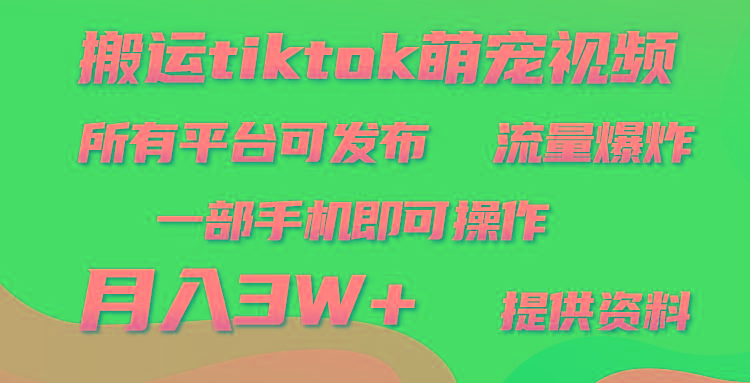 (9618期)搬运Tiktok萌宠类视频，一部手机即可。所有短视频平台均可操作，月入3W+-87创业网