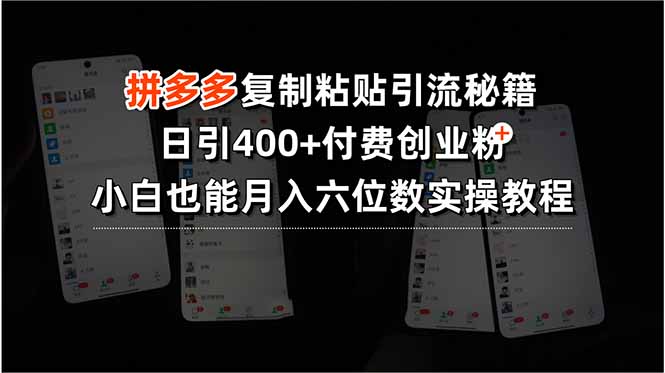 拼多多复制粘贴引流秘籍，日引400+付费创业粉，小白也能月入六位数实操…-87创业网