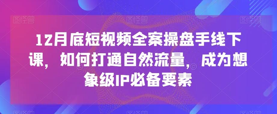 12月底短视频全案操盘手线下课，如何打通自然流量，成为想象级IP必备要素-87创业网