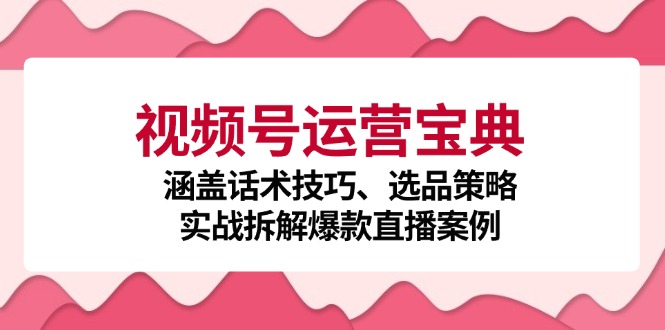 视频号运营宝典：涵盖话术技巧、选品策略、实战拆解爆款直播案例-87创业网