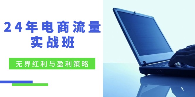 24年电商流量实战班：无界 红利与盈利策略，终极提升/关键词优化/精准…-87创业网