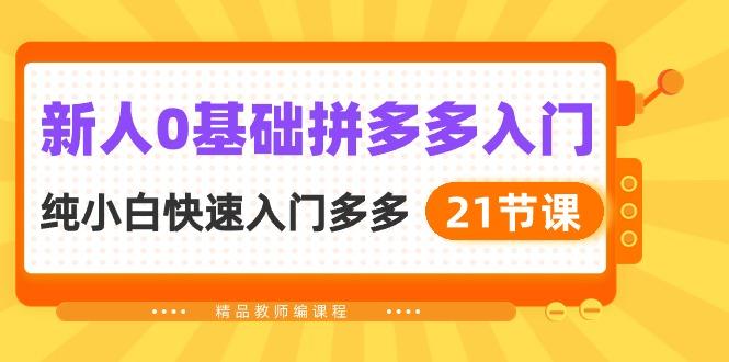 新人0基础拼多多入门，​纯小白快速入门多多(21节课-87创业网