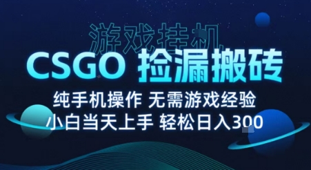 8月最新游戏搬砖，CSGO纯挂G，不需要玩游戏，实现真挂G，月入1W+【揭秘】-87创业网