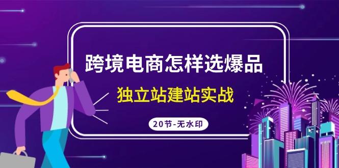 (9369期)跨境电商怎样选爆品，独立站建站实战(20节高清无水印课)-87创业网