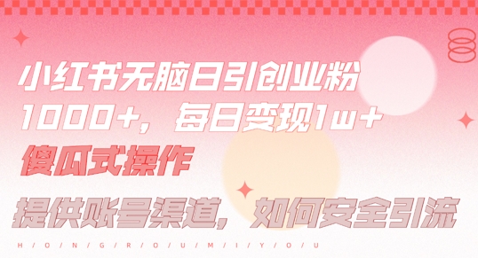 小红书无脑每日引流创业粉500+，小白每天只花半小时，躺赚长尾收益【揭秘】-87创业网