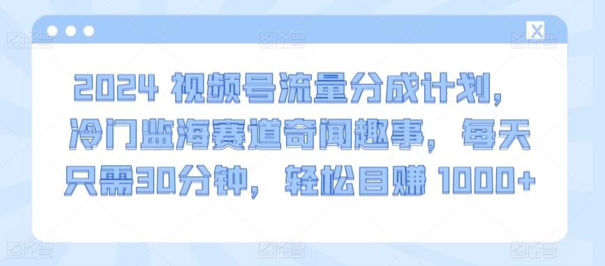 2024视频号流量分成计划，冷门监海赛道奇闻趣事，每天只需30分钟，轻松目赚 1000+【揭秘】-87创业网