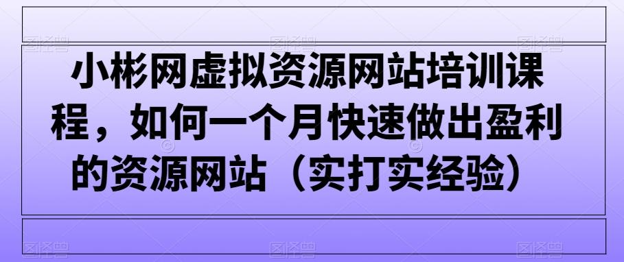 小彬网虚拟资源网站培训课程，如何一个月快速做出盈利的资源网站(实打实经验)-87创业网