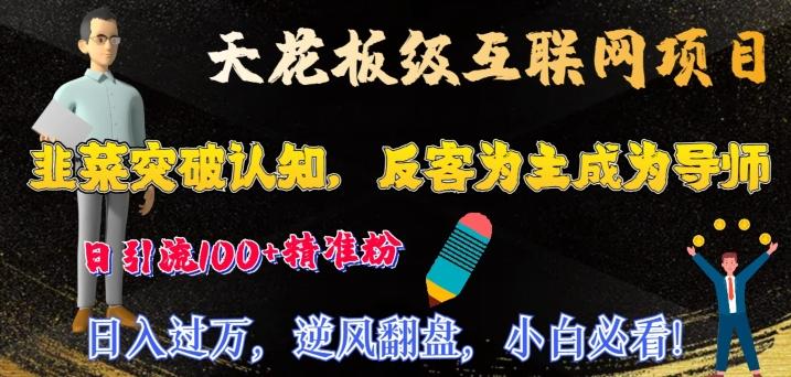 天花板级互联网项目，韭菜突破认知，反客为主成为导师，日引流100+精准粉-87创业网