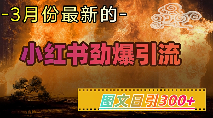 小红书超劲爆引流手段，图文日引300+轻松变现1W-87创业网