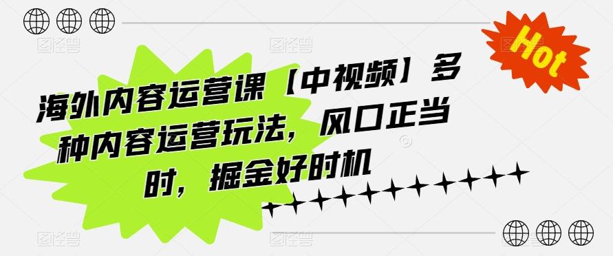 海外内容运营课【中视频】多种内容运营玩法，风口正当时，掘金好时机-87创业网