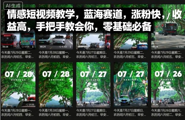 情感短视频教学，蓝海赛道，涨粉快，收益高，手把手教会你，零基础必备-87创业网