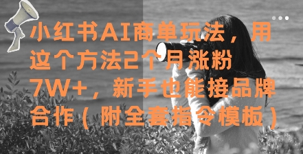 小红书AI商单玩法，用这个方法2个月涨粉7W+，新手也能接品牌合作(附全套指令模板)-87创业网