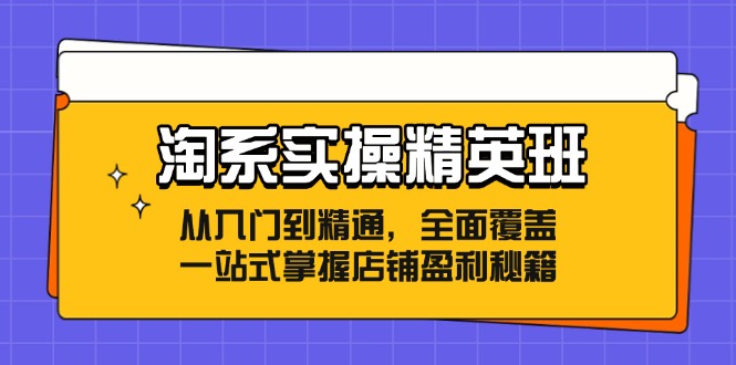 淘系实操精英班：从入门到精通，全面覆盖，一站式掌握店铺盈利秘籍-87创业网