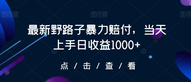 最新野路子暴力赔付，当天上手日收益1000+【仅揭秘】-87创业网